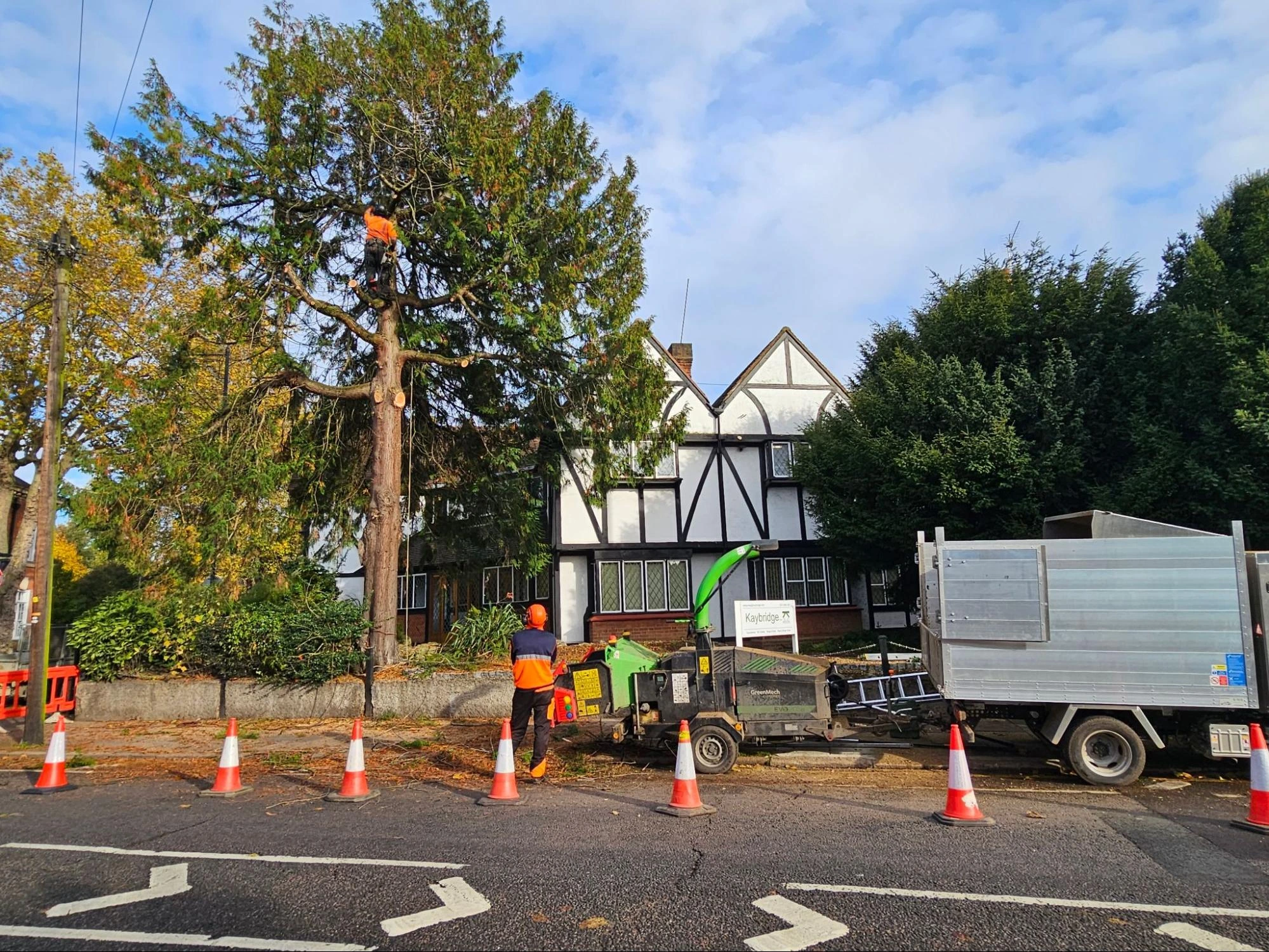 Tree Cutting Swanley